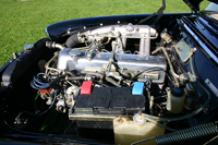 Je�eli chcesz zobaczy� powi�kszone zdj�cie - KLIKNIJ!!!