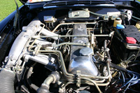 Je�eli chcesz zobaczy� powi�kszone zdj�cie - KLIKNIJ!!!