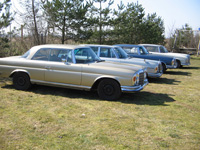 Je�eli chcesz zobaczy� powi�kszone zdj�cie - KLIKNIJ!!!