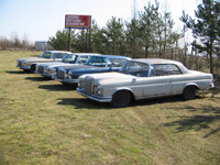 Je�eli chcesz zobaczy� powi�kszone zdj�cie - KLIKNIJ!!!